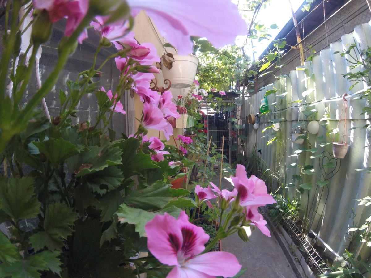 Casa Milly Constanta Apartment ภายนอก รูปภาพ